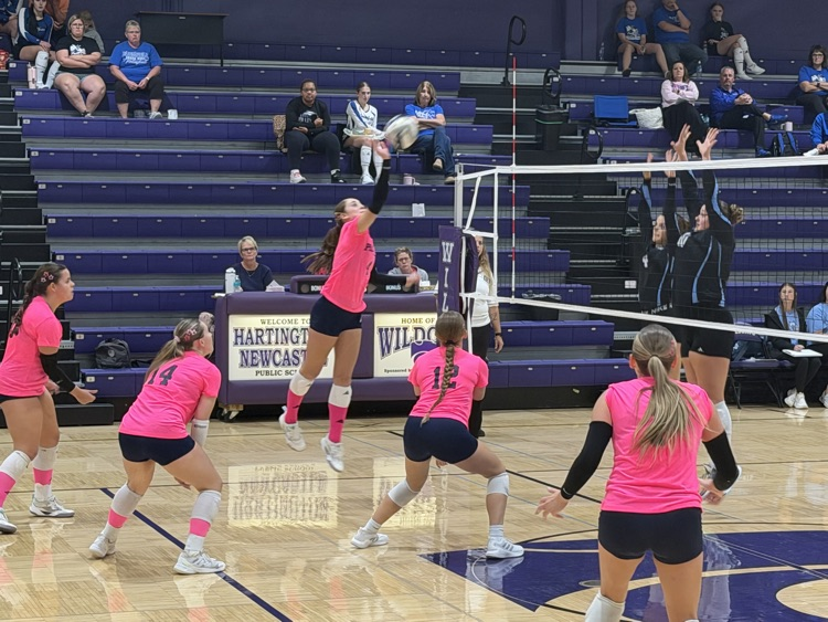 Hartington Tourney
