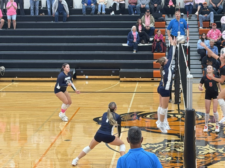 Panthers at North Bend