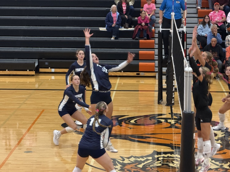 Panthers at North Bend