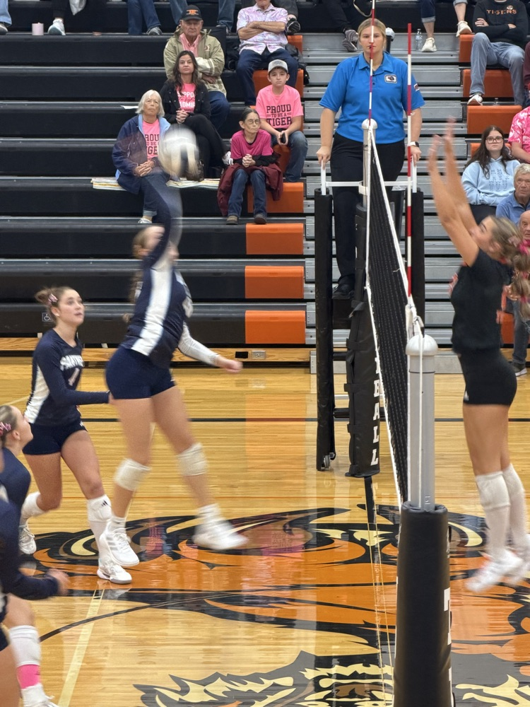 Panthers at North Bend