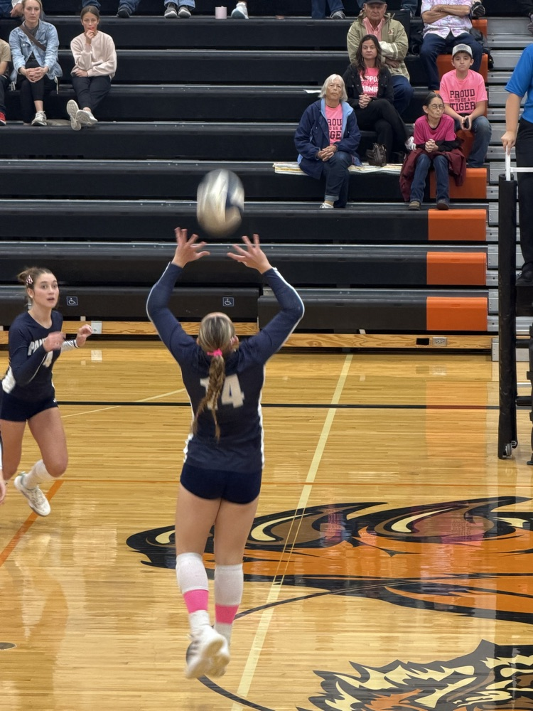 Panthers at North Bend
