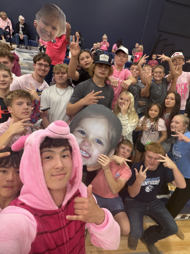 Senior night and Pink Out