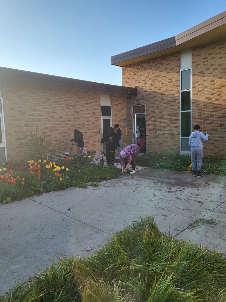 cleaning ms courtyard 2