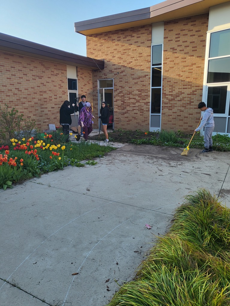 cleaning ms courtyard 3