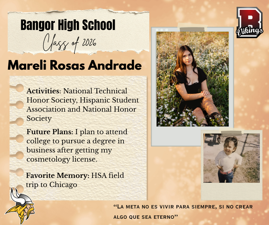 tan sr spotlight mareli
