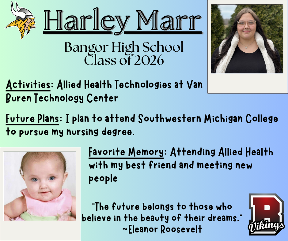 harley snr spotlight