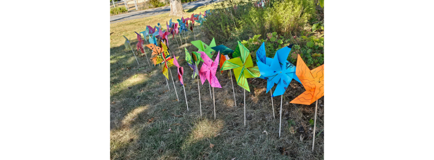 Fruit Street School Celebrates 20th Anniversary of Pinwheels for Peace