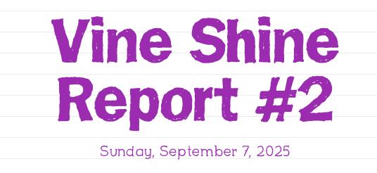Vine Shine Report #2