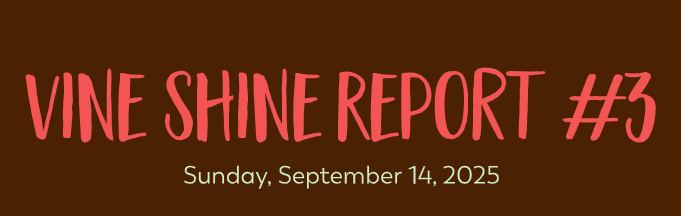 Vine Shine Report #3