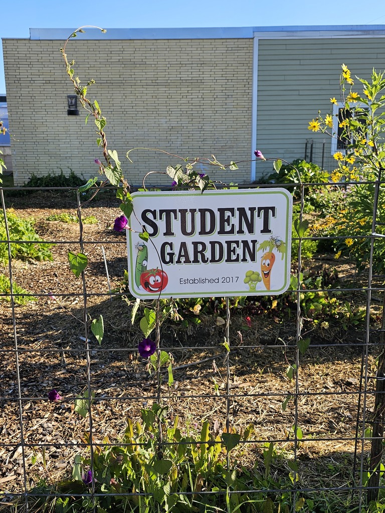 Discover the Beauty of Downeast's Garden! As bees buzz from flower to flower, our students immerse themselves in hands-on learning about the environment. Each day spent in the garden nurtures their curiosity and appreciation for the world around them.