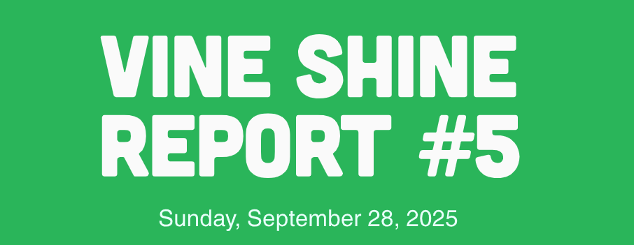 Vine Shine Report #5
