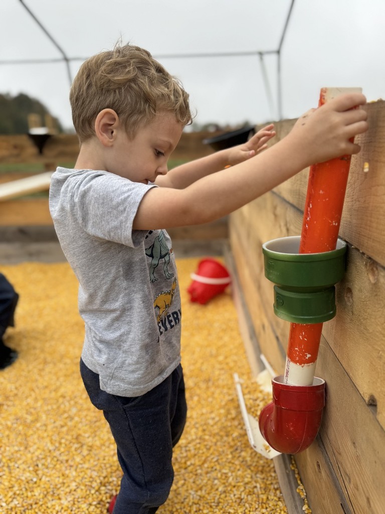 Recently Vine Street Pre-K Students took a field trip to Country Pumpkins and Kindergarten students spent a beautiful fall morning at Conant's Apple Orchard.  The class took a tractor ride out to the apple orchard and learned all about the life cycle of an apple and the correct way to pick an apple.  They also learned about the importance of bees and pollination to the apple crop.  Back in our classrooms, we did lots of activities connected to our field trip.  The students created apple volcanoes, apple crafts, apple graphs, and even apple nachos!