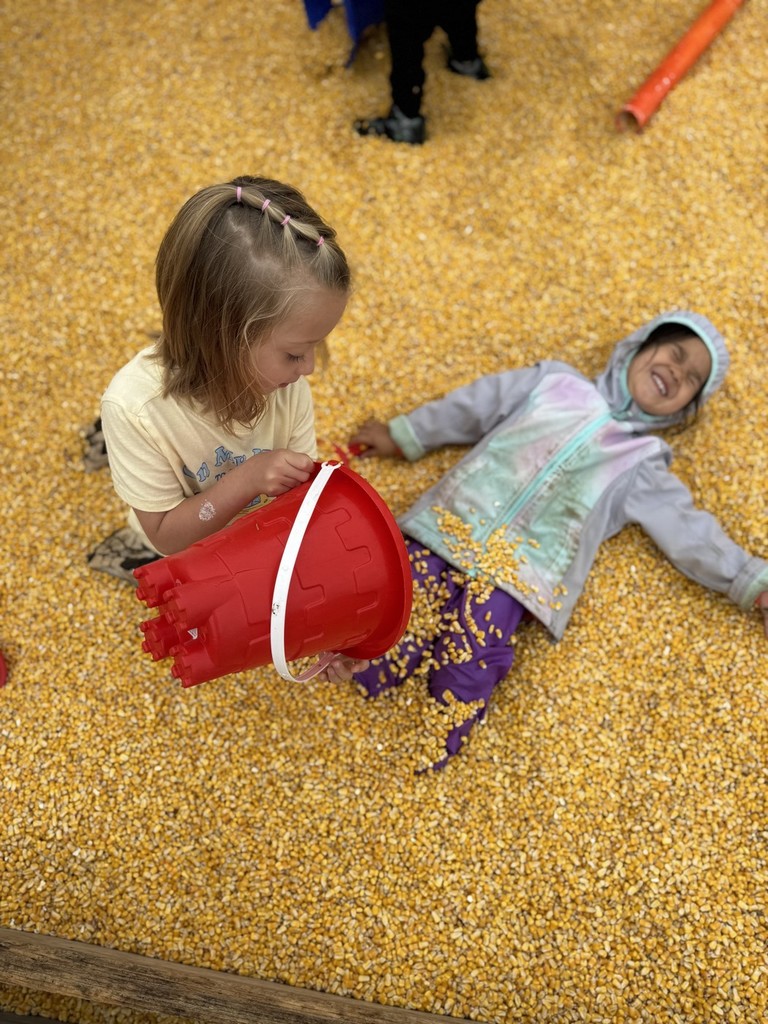 Recently Vine Street Pre-K Students took a field trip to Country Pumpkins and Kindergarten students spent a beautiful fall morning at Conant's Apple Orchard.  The class took a tractor ride out to the apple orchard and learned all about the life cycle of an apple and the correct way to pick an apple.  They also learned about the importance of bees and pollination to the apple crop.  Back in our classrooms, we did lots of activities connected to our field trip.  The students created apple volcanoes, apple crafts, apple graphs, and even apple nachos!