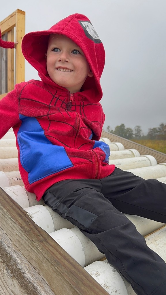 Recently Vine Street Pre-K Students took a field trip to Country Pumpkins and Kindergarten students spent a beautiful fall morning at Conant's Apple Orchard.  The class took a tractor ride out to the apple orchard and learned all about the life cycle of an apple and the correct way to pick an apple.  They also learned about the importance of bees and pollination to the apple crop.  Back in our classrooms, we did lots of activities connected to our field trip.  The students created apple volcanoes, apple crafts, apple graphs, and even apple nachos!