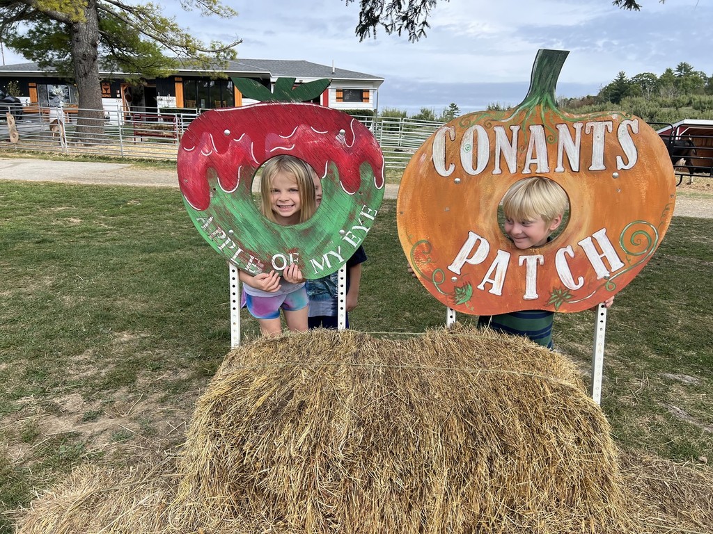 Recently Vine Street Pre-K Students took a field trip to Country Pumpkins and Kindergarten students spent a beautiful fall morning at Conant's Apple Orchard.  The class took a tractor ride out to the apple orchard and learned all about the life cycle of an apple and the correct way to pick an apple.  They also learned about the importance of bees and pollination to the apple crop.  Back in our classrooms, we did lots of activities connected to our field trip.  The students created apple volcanoes, apple crafts, apple graphs, and even apple nachos!