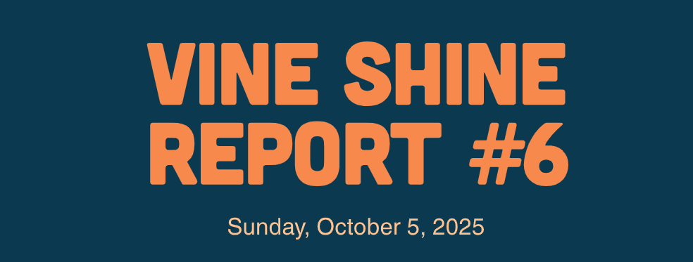 Vine Shine Report #6