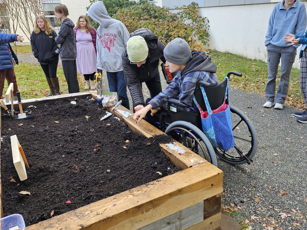 Project Transition Students at Bangor High School recently planted bulbs in raised beds located in the school’s courtyard garden. Thanks to the generous support of local businesses and organizations, the project was a resounding success.