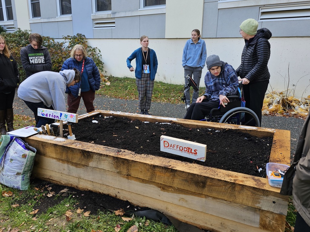 Project Transition Students at Bangor High School recently planted bulbs in raised beds located in the school’s courtyard garden. Thanks to the generous support of local businesses and organizations, the project was a resounding success.