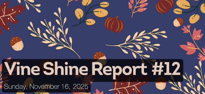 Vine Shine Report #12