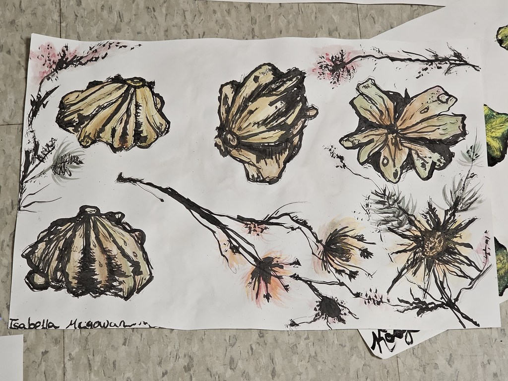 Students in Ms. Bryand's art classes used unconventional materials to create their fall-inspired art this week. Students used branches dipped in ink to draw and sketch gourds.  