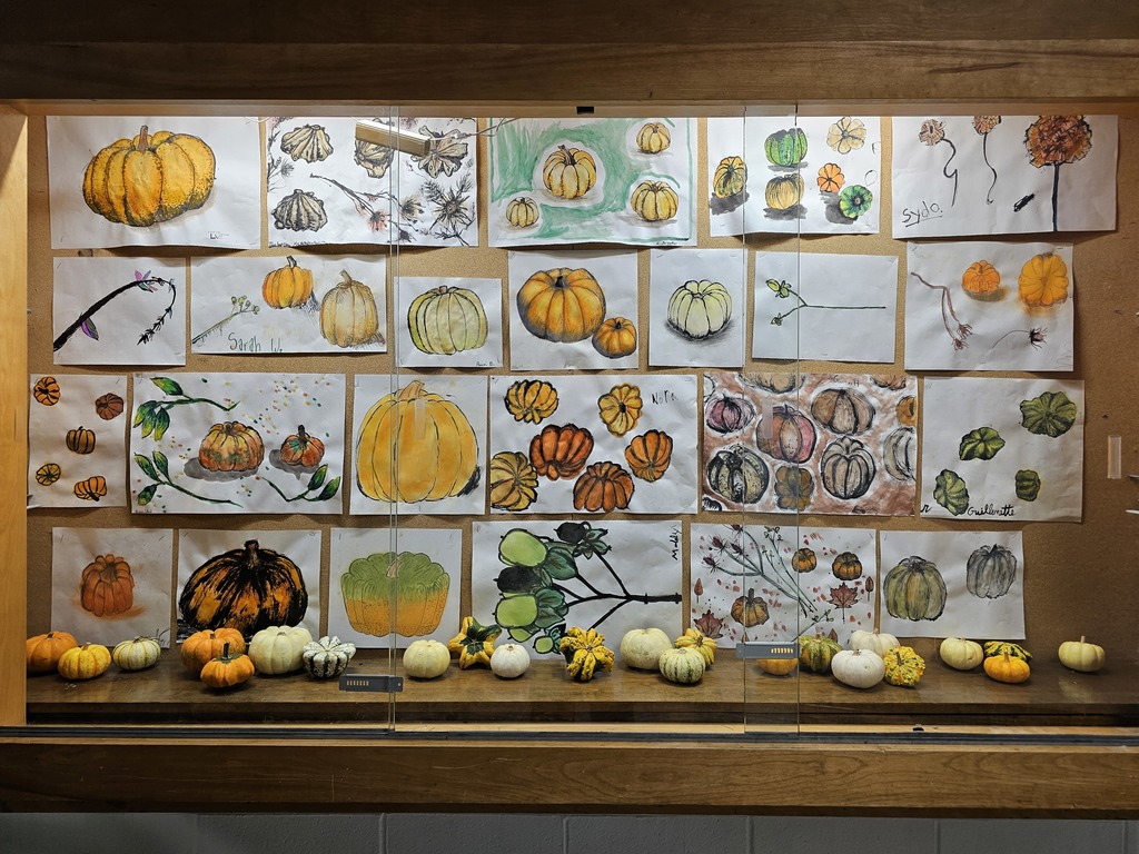 Students in Ms. Bryand's art classes at Bangor High used unconventional materials to create their fall-inspired art this week. Students used branches dipped in ink to draw and sketch gourds instead of traditional pencil and pen.