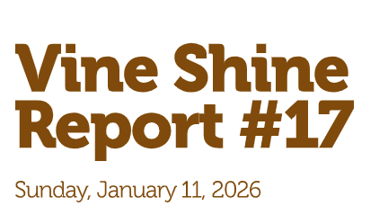 Vine Shine Report #17