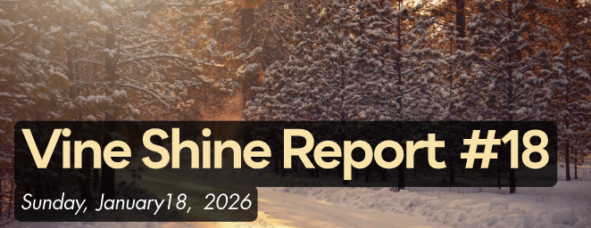 Vine Shine Report #18