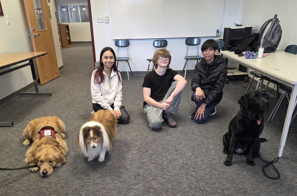 In a heartwarming initiative aimed at easing student stress during midterm exams, Bangor High School welcomed therapy dogs into the library on Tuesday. Students booked 15-minute appointments for cuddles and comfort with three lovable pups: Jem, PJ, and Layla. Misty Conrath, science teacher and organizer, emphasized the importance of this program, stating, “Our goal is to provide a calming presence during what can be a very stressful time for students. The therapy dogs not only offer companionship but also promote emotional well-being.” The library saw an enthusiastic response, with many students taking advantage of the opportunity to unwind and recharge with the dogs’ warm presence. Nancy Watson, BHS Librarian, added, “We’ve noticed that just a few moments with a therapy dog can significantly improve a student’s mood and focus. It’s wonderful to see how much joy these animals bring.”