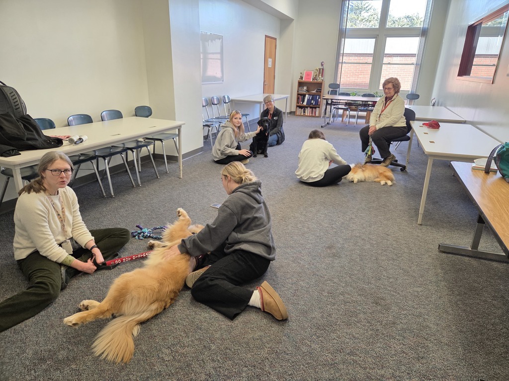 In a heartwarming initiative aimed at easing student stress during midterm exams, Bangor High School welcomed therapy dogs into the library on Tuesday. Students booked 15-minute appointments for cuddles and comfort with three lovable pups: Jem, PJ, and Layla. Misty Conrath, science teacher and organizer, emphasized the importance of this program, stating, “Our goal is to provide a calming presence during what can be a very stressful time for students. The therapy dogs not only offer companionship but also promote emotional well-being.” The library saw an enthusiastic response, with many students taking advantage of the opportunity to unwind and recharge with the dogs’ warm presence. Nancy Watson, BHS Librarian, added, “We’ve noticed that just a few moments with a therapy dog can significantly improve a student’s mood and focus. It’s wonderful to see how much joy these animals bring.”