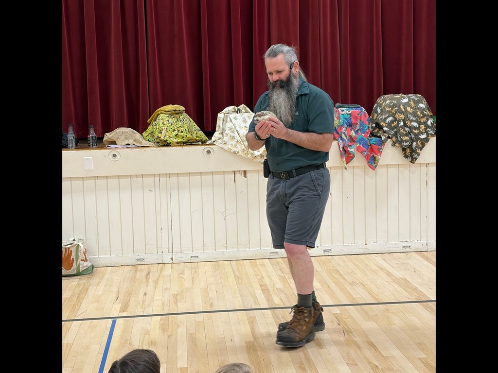 Mr. Sparks showed students a sugar glider, chinchilla, hedgehog, dragon (you read that right), tortoise, barred owl, and boa constrictor.