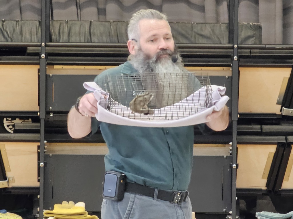 Mr. Sparks showed students a sugar glider, chinchilla, hedgehog, dragon (you read that right), tortoise, barred owl, and boa constrictor.