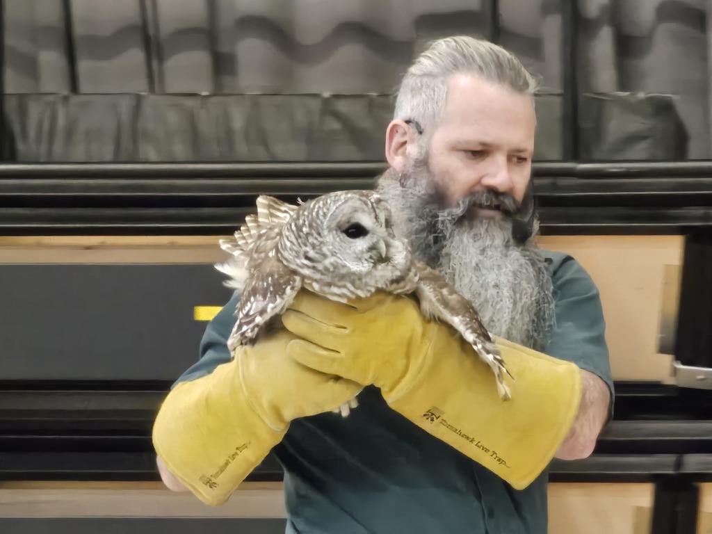 Mr. Sparks showed students a sugar glider, chinchilla, hedgehog, dragon (you read that right), tortoise, barred owl, and boa constrictor.