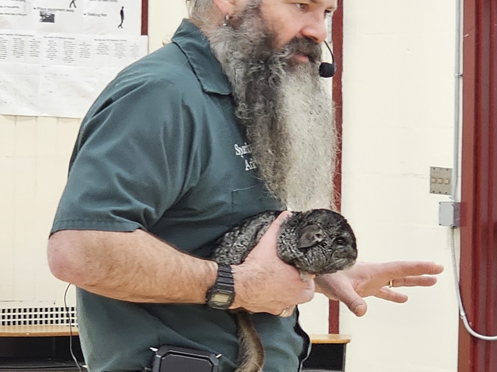 Mr. Sparks showed students a sugar glider, chinchilla, hedgehog, dragon (you read that right), tortoise, barred owl, and boa constrictor.