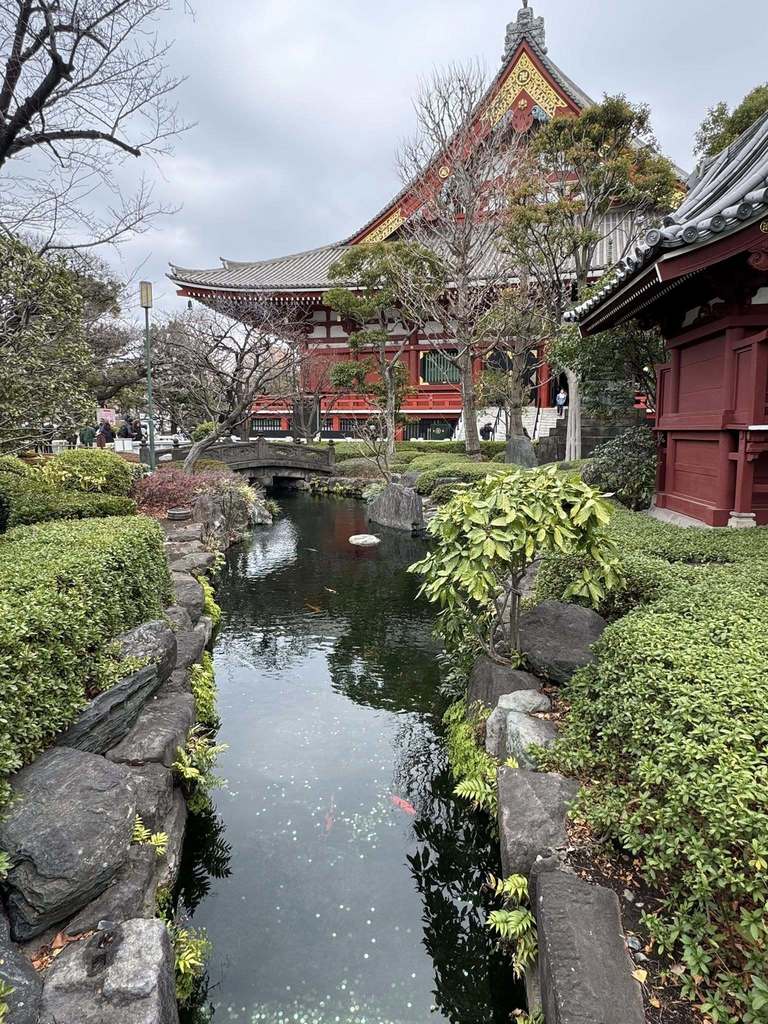 Students and teachers from the Bangor High School Humanities Travel Program are exploring Japan’s rich history, culture, art, and literature. From ancient temples and traditional tea ceremonies to modern cities and museum visits, this journey is a living classroom that will deepen understanding and inspire new perspectives. Follow their adventures in real time on Facebook: https://www.facebook.com/BangorHumanitiesTravels Like and follow the page to see photos and updates throughout the trip. #WeAreBangor