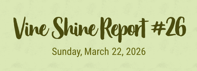 Vine Shine Report #26