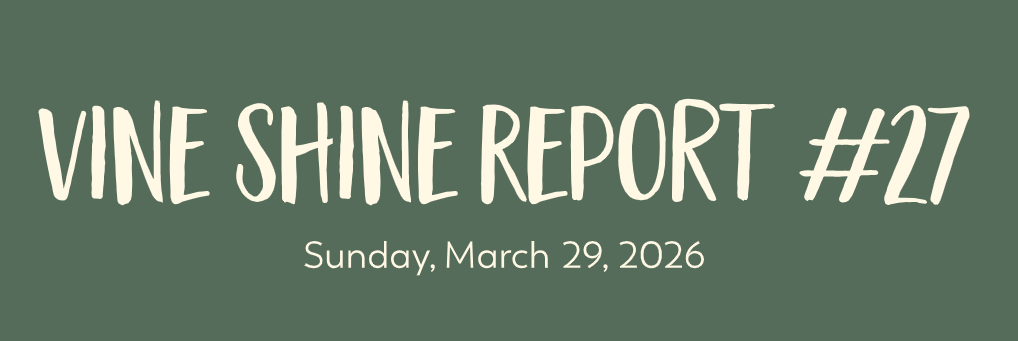 Vine Shine Report #27
