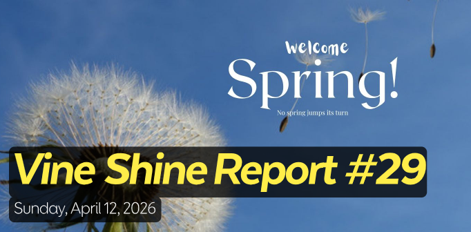 Vine Shine Report #29