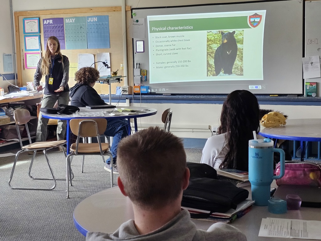 Mrs. Bendure’s 8th grade English students invited a Maine Wildlife Biologist to talk about black bears while they are reading "Touching Spirit Bear." Students learned that spirit bears are actually black bears with a genetic mutation that makes them appear white. A huge thank you to our guest speaker for bringing science, nature, and real-world knowledge into the classroom! #WeAreBangor