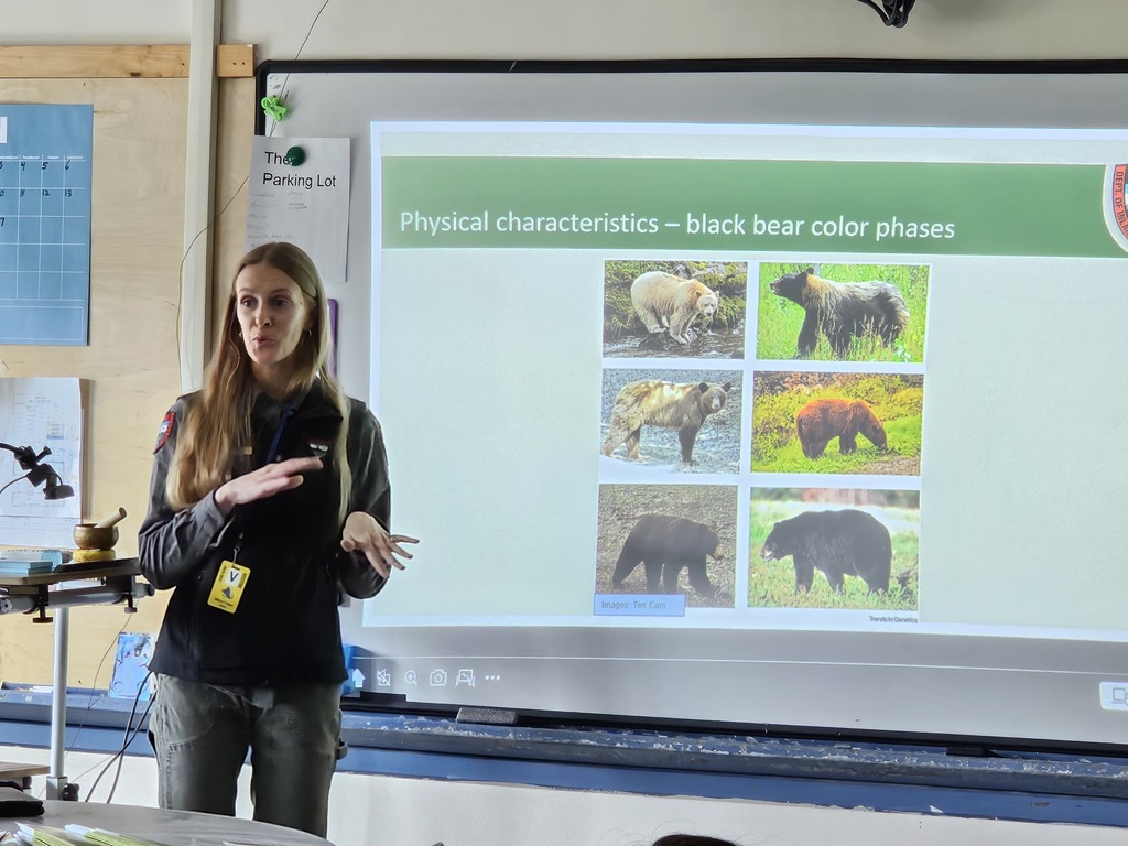 Mrs. Bendure’s 8th grade English students invited a Maine Wildlife Biologist to talk about black bears while they are reading "Touching Spirit Bear." Students learned that spirit bears are actually black bears with a genetic mutation that makes them appear white. A huge thank you to our guest speaker for bringing science, nature, and real-world knowledge into the classroom! #WeAreBangor
