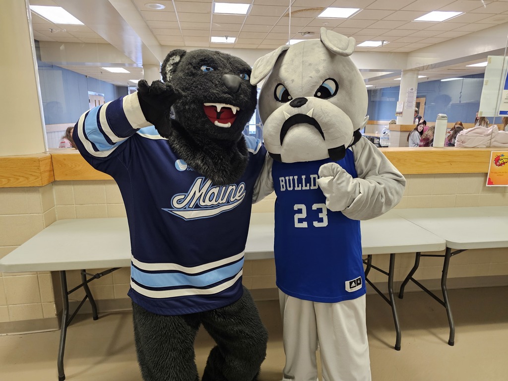 Bananas the Bear and Duke the Bulldog