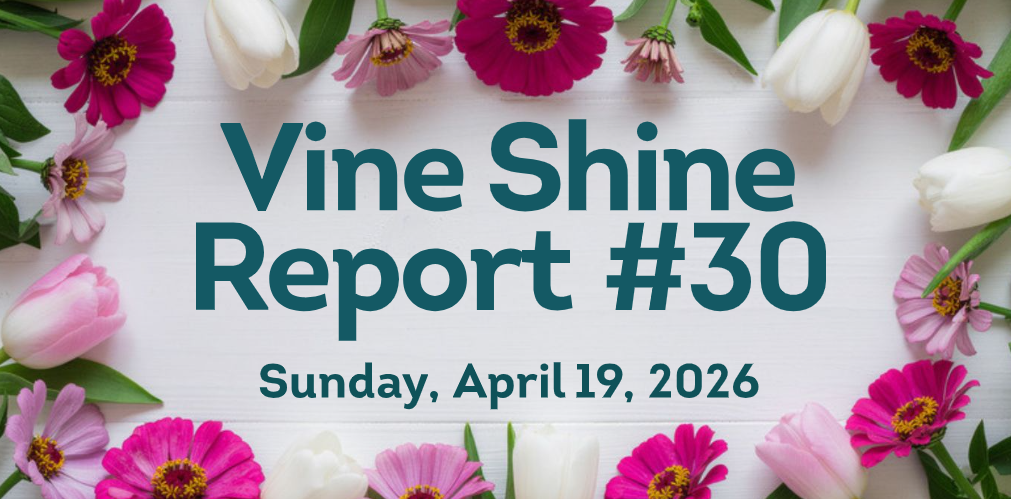 Vine Shine Report #30