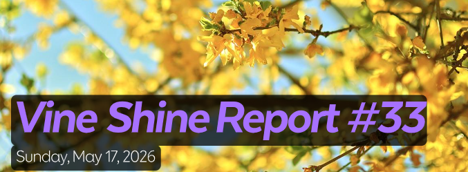 Vine Shine Report #33