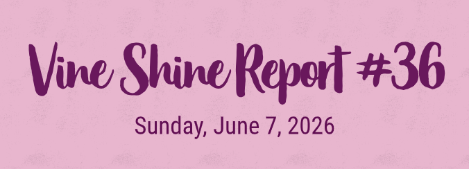 Vine Shine Report #36
