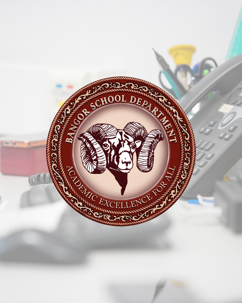 Bangor School Department IT background
