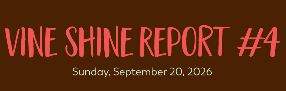 Vine Shine Report #4