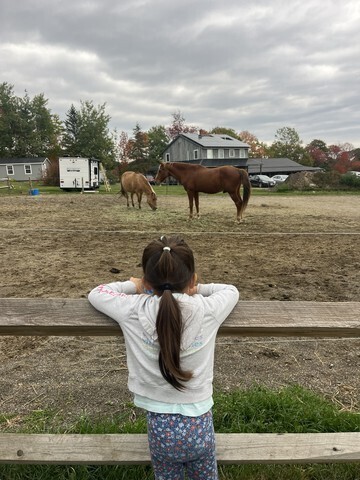 A Special Downeast Tradition: Treworgy Apple Orchard  One of our favorite Downeast traditions is our School-Wide Celebration at Treworgy Apple Orchard! This special day is about so much more than apples—it is about coming together as a school community.  Students and staff from PreK through Grade 3 had the opportunity to enjoy the orchard, spend time with friends and classmates, and make memories together. We love creating school-wide experiences where everyone can participate, connect, and feel like they belong.  Building a strong school community means making time for shared experiences, celebrating one another, and creating inclusive opportunities for all students. These moments help our students see that they are an important part of something bigger than their classroom.  Thank you to our staff for making this day possible and to our families for supporting the many experiences that make Downeast such a special place to learn and grow.   We are already looking forward to making this tradition continue for years to come!