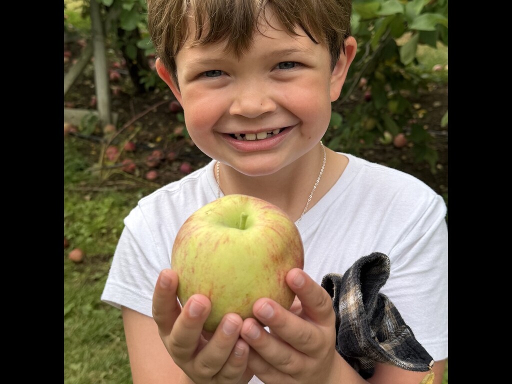 A Special Downeast Tradition: Treworgy Apple Orchard One of our favorite Downeast traditions is our School-Wide Celebration at Treworgy Apple Orchard! This special day is about so much more than apples—it is about coming together as a school community. Students and staff from PreK through Grade 3 had the opportunity to enjoy the orchard, spend time with friends and classmates, and make memories together. We love creating school-wide experiences where everyone can participate, connect, and feel like they belong. Building a strong school community means making time for shared experiences, celebrating one another, and creating inclusive opportunities for all students. These moments help our students see that they are an important part of something bigger than their classroom. Thank you to our staff for making this day possible and to our families for supporting the many experiences that make Downeast such a special place to learn and grow. We are already looking forward to making this tradition continue for years to come!