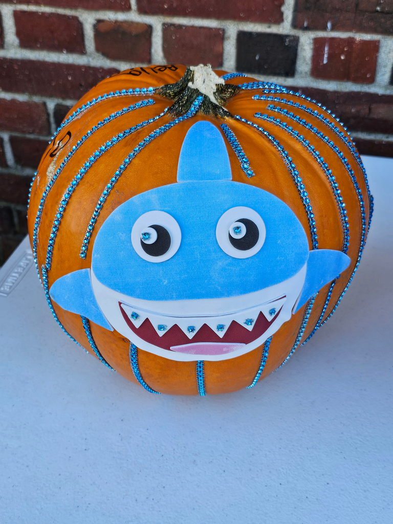 Happy National Pumpkin Day! Vine Street School students decorated pumpkins during their recent PBIS Reward Day. From funny faces to imaginative designs, our students showcased incredible school spirit and artistic talent! A special thank you to Mr. Moring and Mrs. Bean from JFDS for helping judge the contest and recognizing three outstanding pumpkins with 1st Place honors. #WeAreBangor