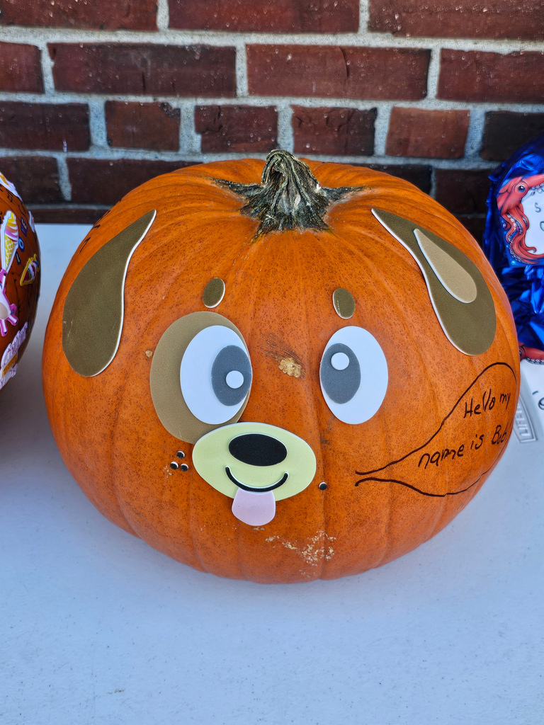 Happy National Pumpkin Day! Vine Street School students decorated pumpkins during their recent PBIS Reward Day. From funny faces to imaginative designs, our students showcased incredible school spirit and artistic talent! A special thank you to Mr. Moring and Mrs. Bean from JFDS for helping judge the contest and recognizing three outstanding pumpkins with 1st Place honors. #WeAreBangor