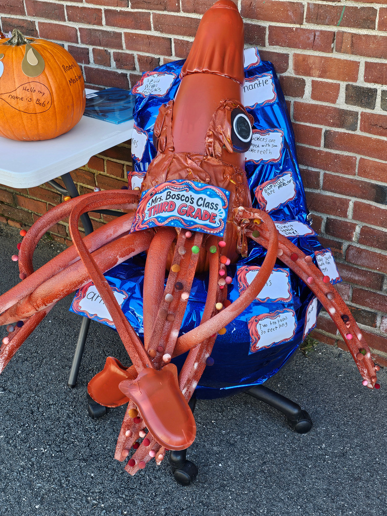 Happy National Pumpkin Day! Vine Street School students decorated pumpkins during their recent PBIS Reward Day. From funny faces to imaginative designs, our students showcased incredible school spirit and artistic talent! A special thank you to Mr. Moring and Mrs. Bean from JFDS for helping judge the contest and recognizing three outstanding pumpkins with 1st Place honors. #WeAreBangor